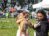  - Meilleur Puppy Expo de Bohain en Vermandois